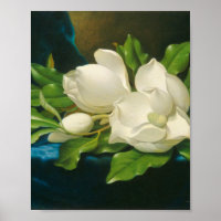 Martin Johnson Heade - Giant Magnolias