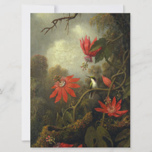 Martin Johnson Heade - Hummingbird And Passion