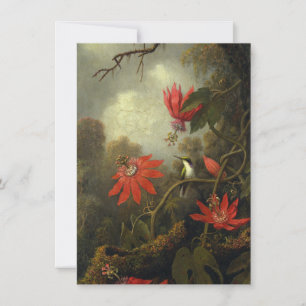 Martin Johnson Heade - Hummingbird Thank You Card