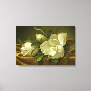 Martin Johnson Heade - Magnolias on Gold Velvet Canvas Print