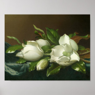 Martin Johnson Heade - Magnolias on Light Blue Poster