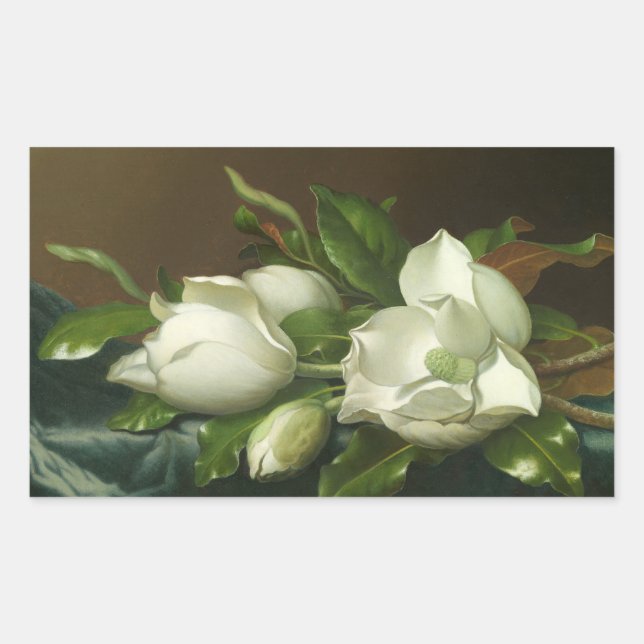Martin Johnson Heade - Magnolias on Light Blue Rectangular Sticker (Front)