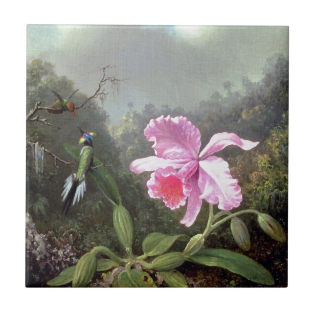 Martin Johnson Heade Orchid And Hummingbirds Tile (Front)