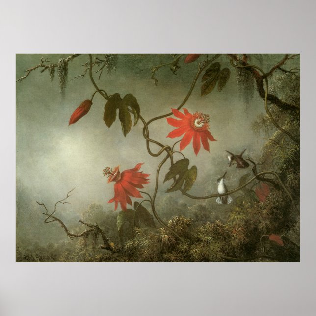 Martin Johnson Heade Passion Flowers Poster (Front)