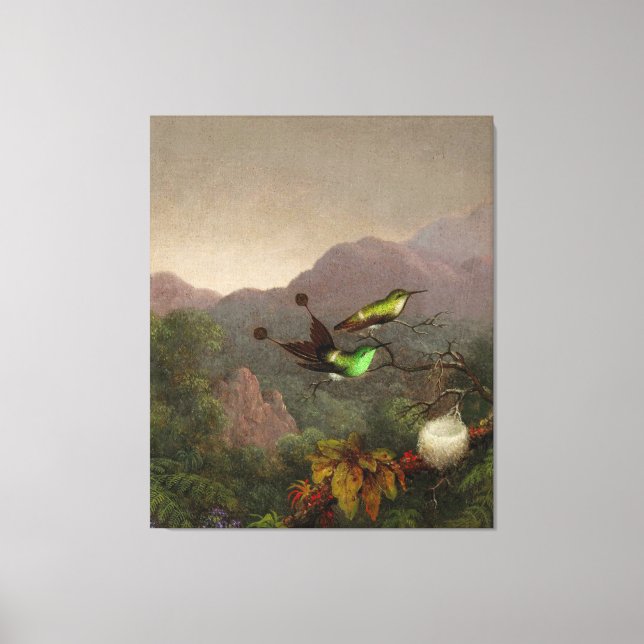 MARTIN JOHNSON HEADE - Racket-Tail, Brazil - 1865 Canvas Print (Front)