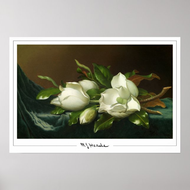 Martin Johnson Heade Zedign Art Poster #12 (Front)