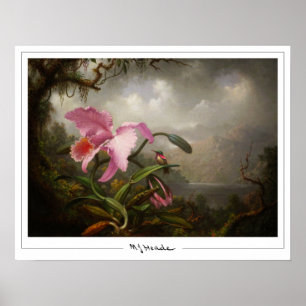 Martin Johnson Heade Zedign Art Poster #45