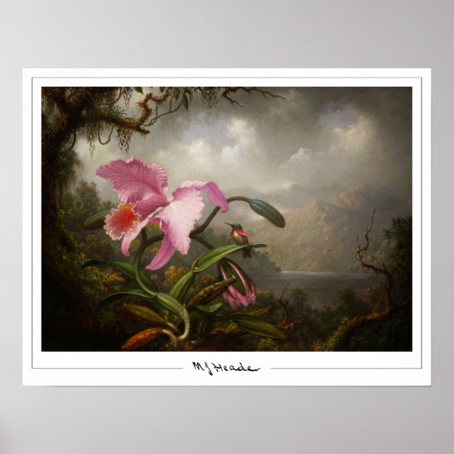 Martin Johnson Heade Zedign Art Poster #45 (Front)