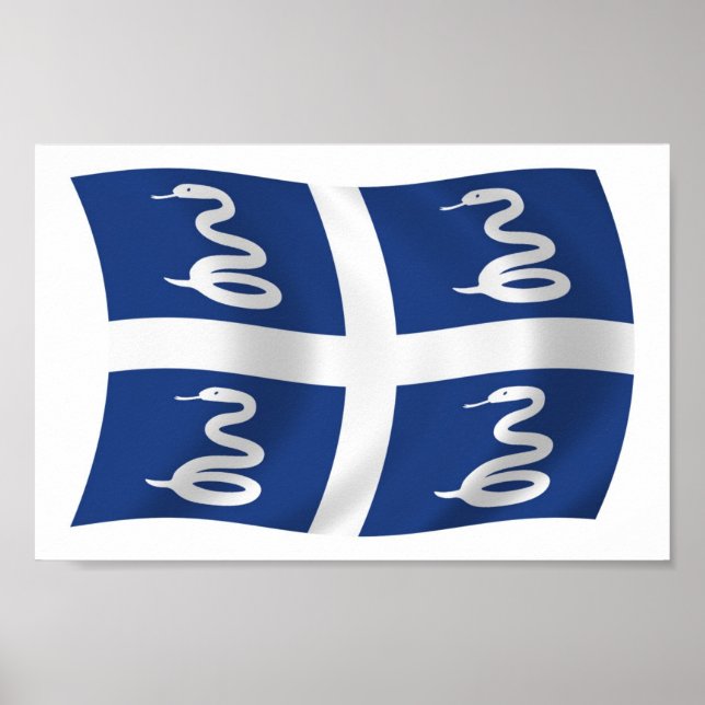 Martinique Flag Poster Print (Front)