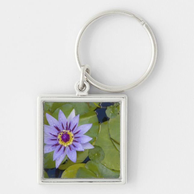 Martinique, French Antilles, West Indies, Blue Key Ring (Front)