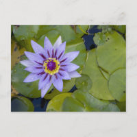 Martinique, French Antilles, West Indies, Blue