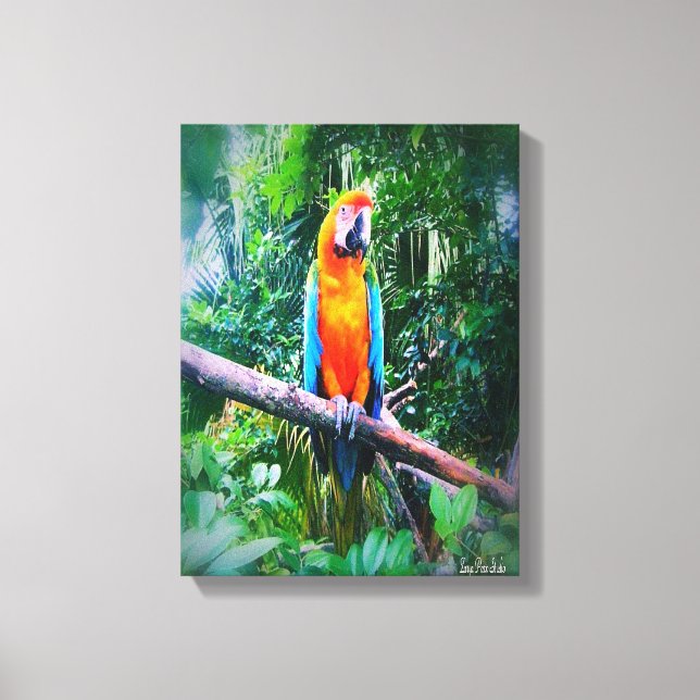 Martinique Macaw Canvas Print (Front)