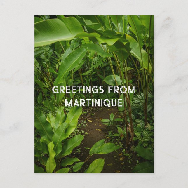 Martinique tropical garden,  travel postcard (Front)