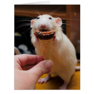 Marty Eating Ice Cream