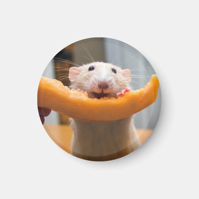 Marty Mouse Canaloop Magnet (Front)