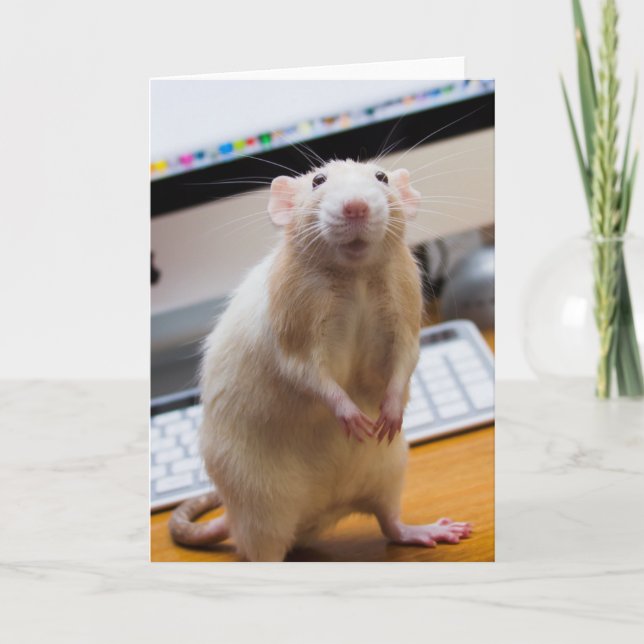 Marty Mouse Standing Up Greeting Card (Front)