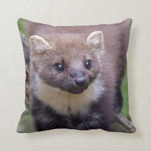 Marty Pillow