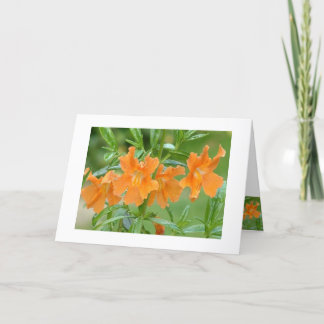 Marvellous Mimulus Notecard