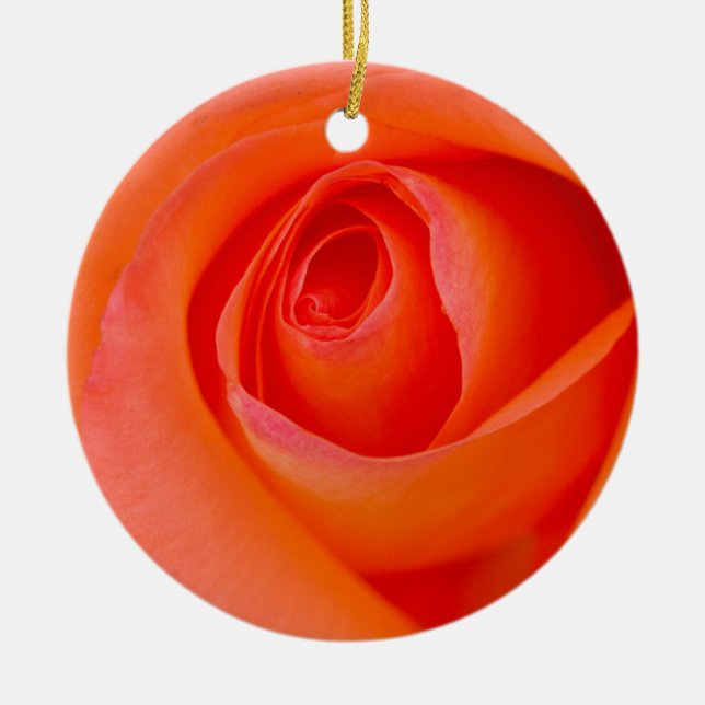 Marvellous Orange Rose Bud Ceramic Tree Decoration (Front)