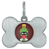 MARVIN THE MARTIAN™ Upset