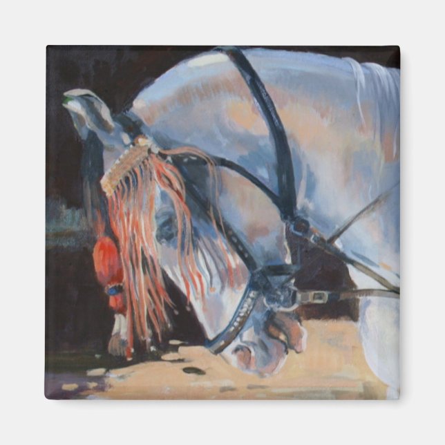 Marwari Horse Rajasthan 2010 Magnet (Front)