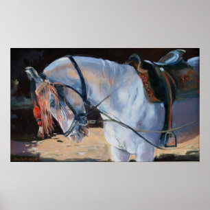 Marwari Horse Rajasthan 2010 Poster