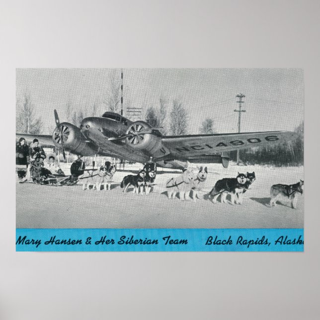 Mary Hansen & Siberians w/ Aeroplane Poster (Front)