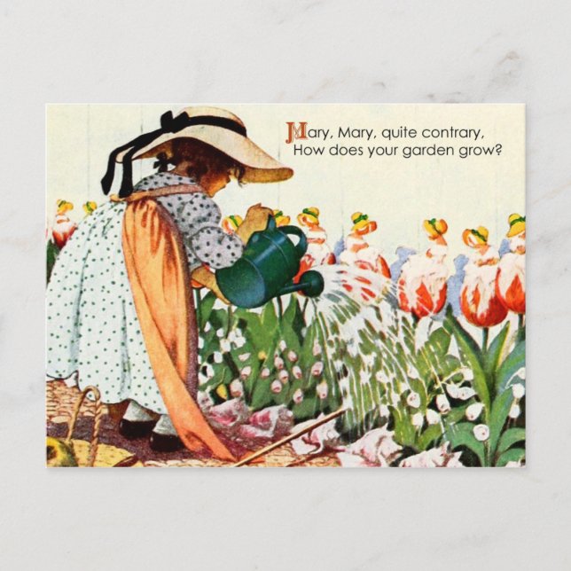 Mary, Mary, Quite Contrary Postcard (Front)