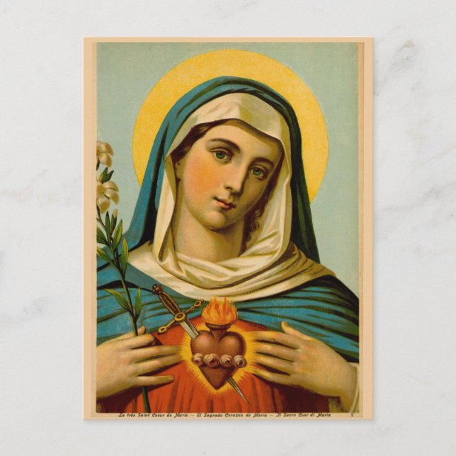 Mary Our Lady of Sorrows Immaculate Heart Postcard (Front)