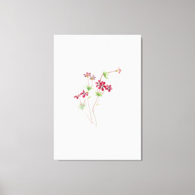 Mary Vaux Walcott art style Canvas Print (Front)