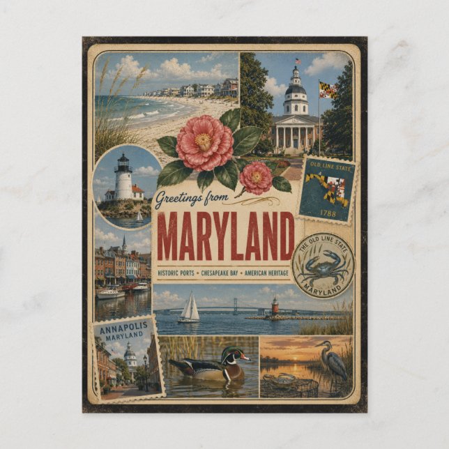 Maryland Authentic Vintage Style Postcard (Front)