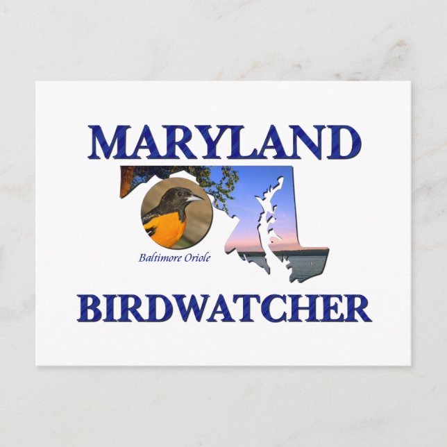 Maryland Birdwatcher Postcard (Front)
