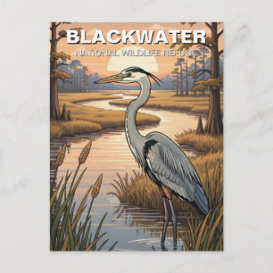 Maryland Blackwater National Wildlife Refuge Postcard