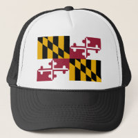 Maryland flag