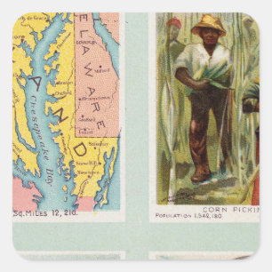 Maryland, Georgia, Illinois, Pennsylvania Square Sticker