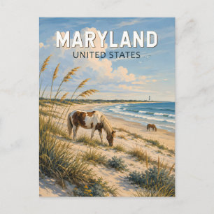 Maryland Horse Illustration Travel Art Vintage Postcard