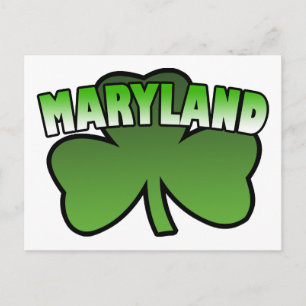 Maryland Shamrock Postcard