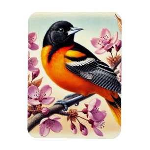 Maryland State Bird Baltimore Oriole Magnet