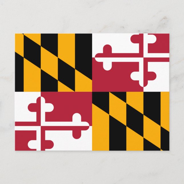 Maryland State Flag Design Postcard (Front)