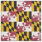 Maryland State Flag