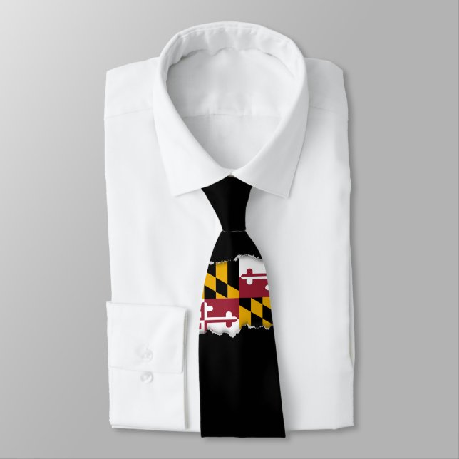 Maryland State Flag Tie (Tied)