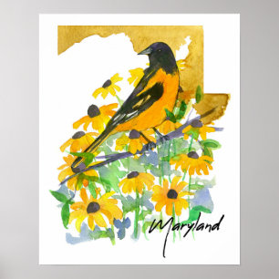 Maryland State Shape Baltimore Oriole Susans Poster