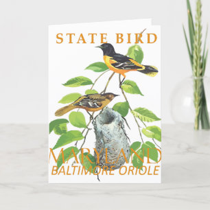 Maryland Territory Bird The Icterus galbula Holiday Card