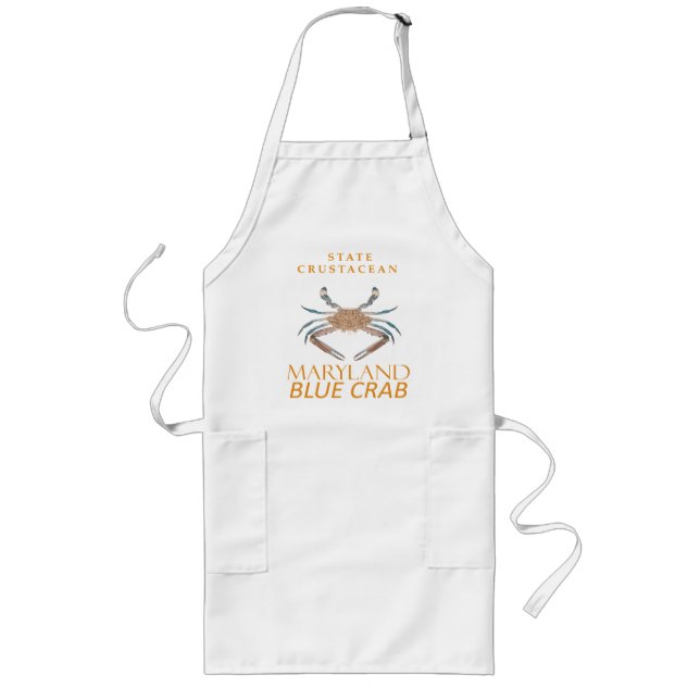 Maryland Territory Crustacean Callinectes sapidus  Long Apron (Front)
