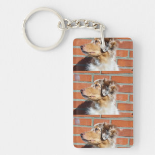 MAS red merle Key Ring