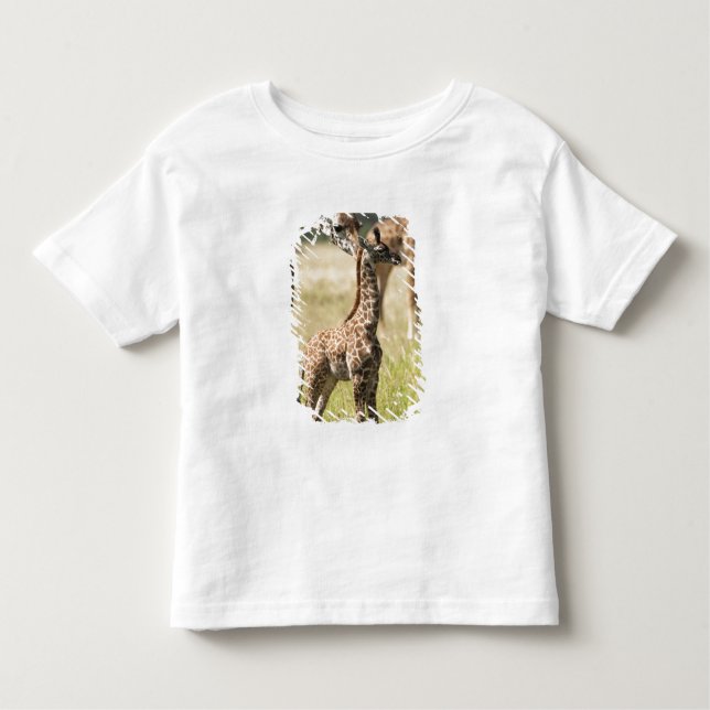 Masai giraffes, Giraffa camelopardalis 2 Toddler T-Shirt (Front)