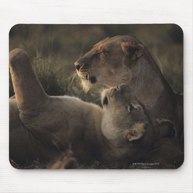 Masai Mara National Reserve 7 Mouse Pad (Front)