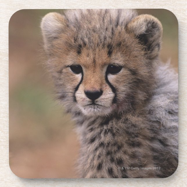 Masai Mara National Reserve Coaster (Front)