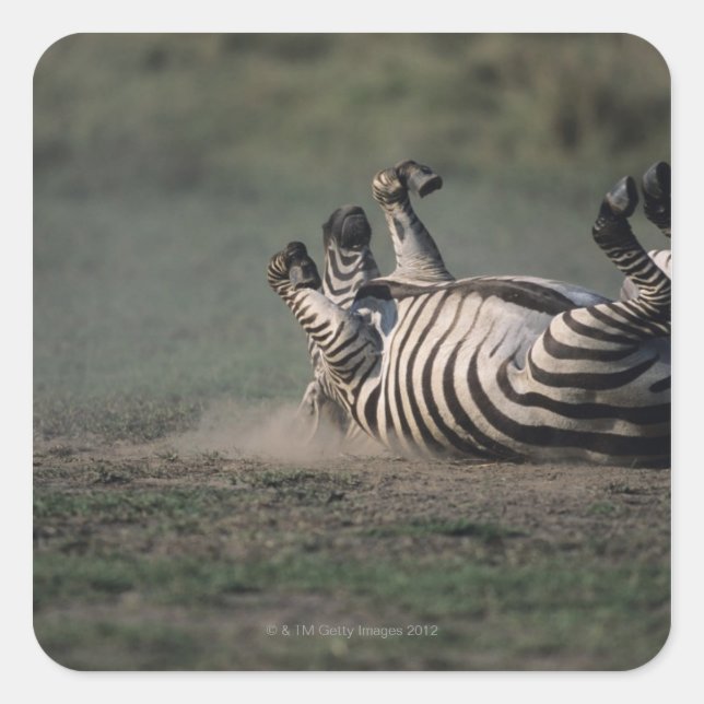 Masai Mara National Reserve, Kenya 2 Square Sticker (Front)