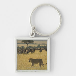 Masai Mara National Reserve, Kenya, Africa Key Ring